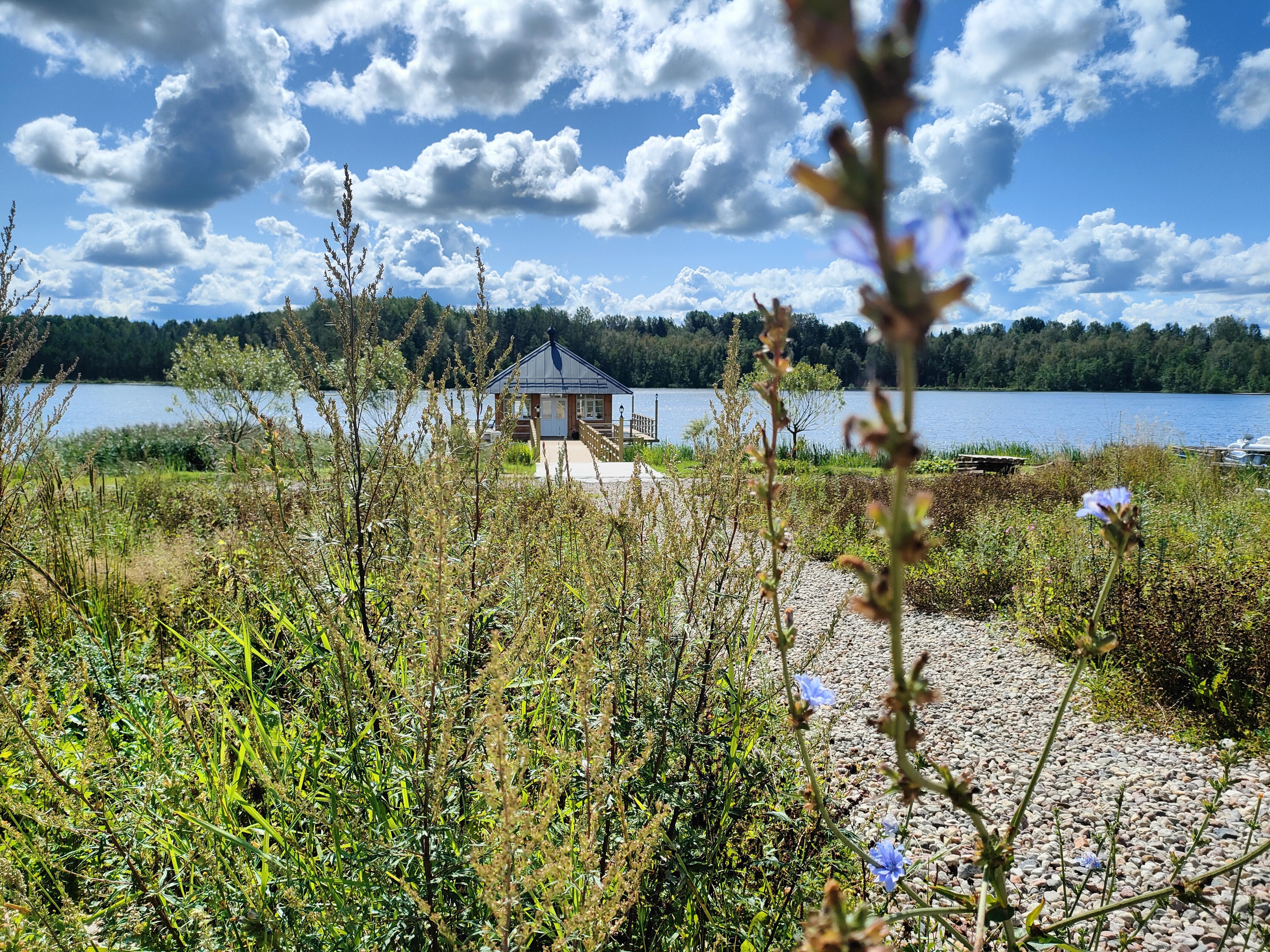 Я вернусь... Queen of rain  - Фролов  Андрей.  Читает Родионов Иван