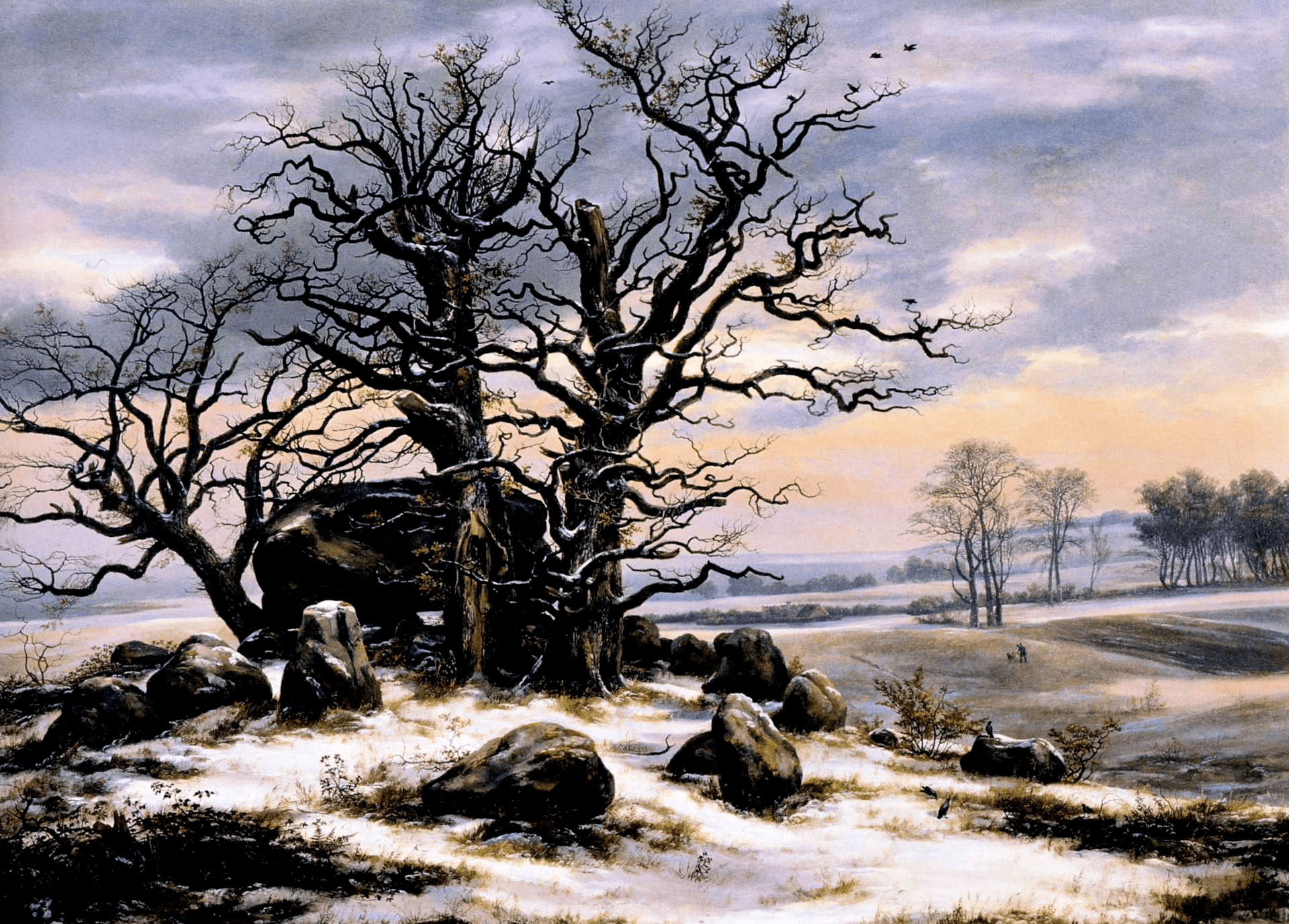 224. Hünengrab nahe Vordingborg im Winter