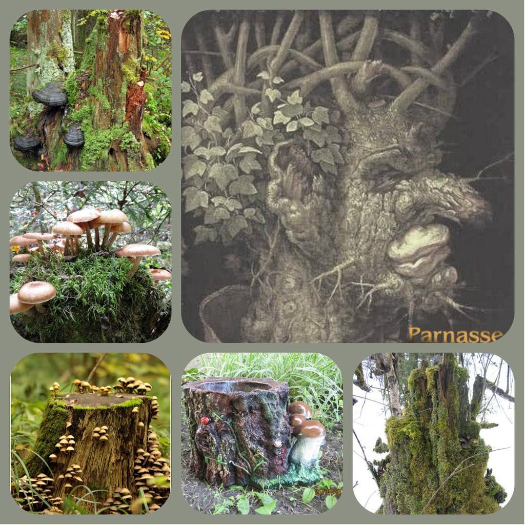 ПЕНЬ... (танка)