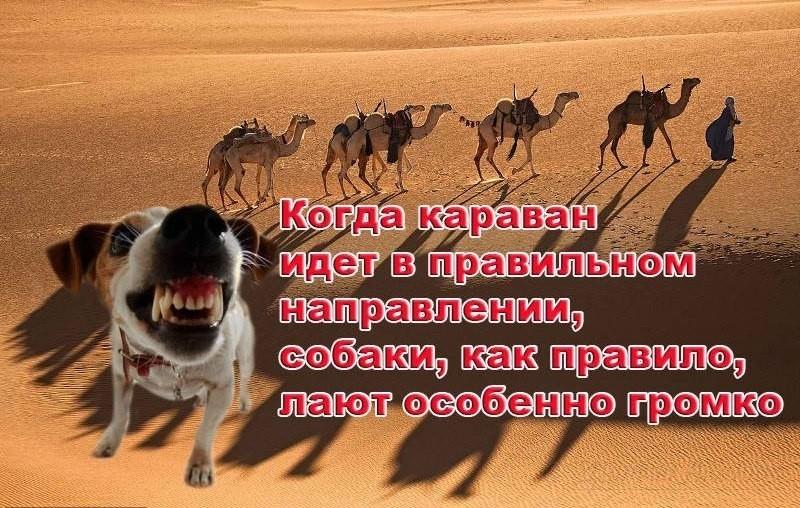 Опять Европа...