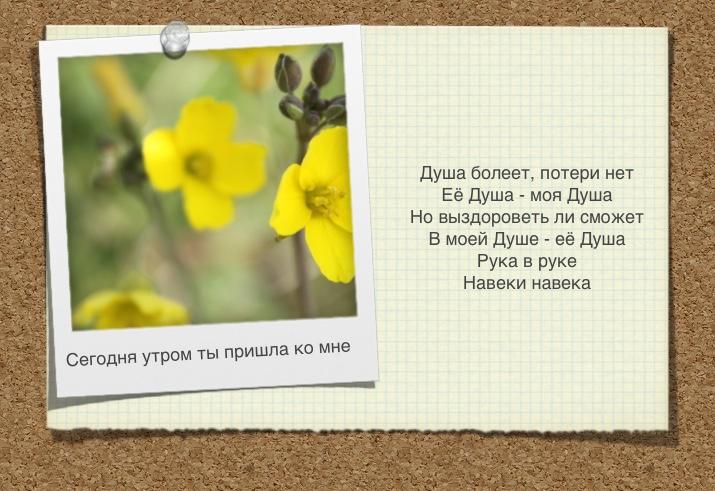 Сегодня утром ты пришла ко мне