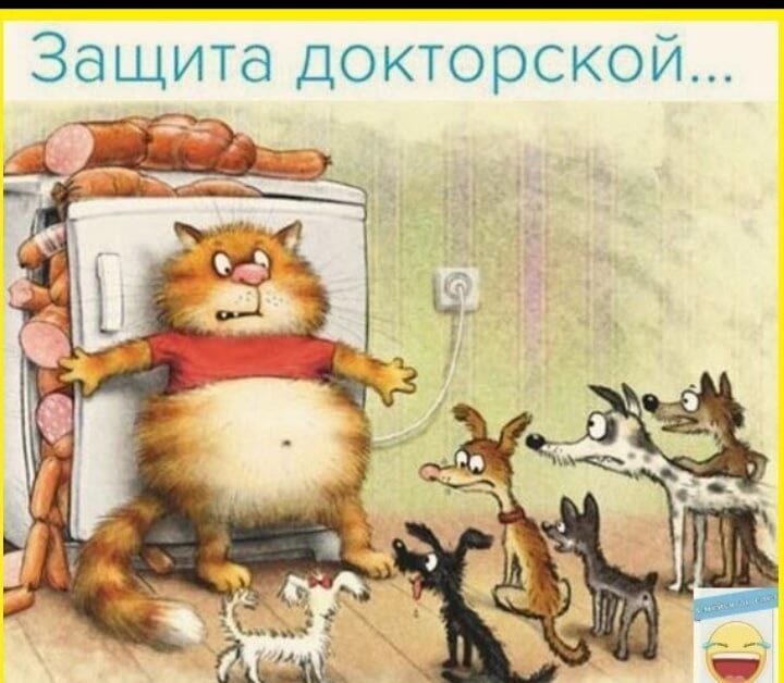 Защита  "докторской"...