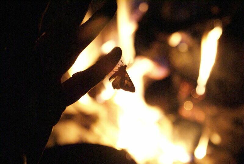 если лампа горит