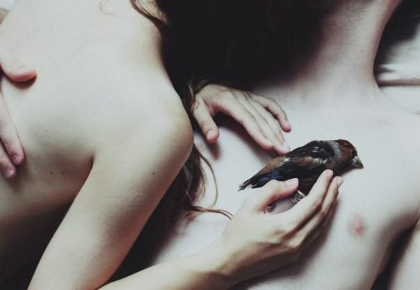 Свою любовь я запишу...