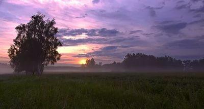 Здесь падают синие звёзды