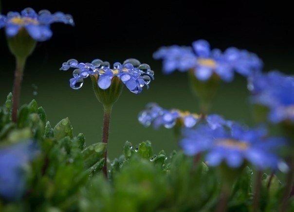 Первый день