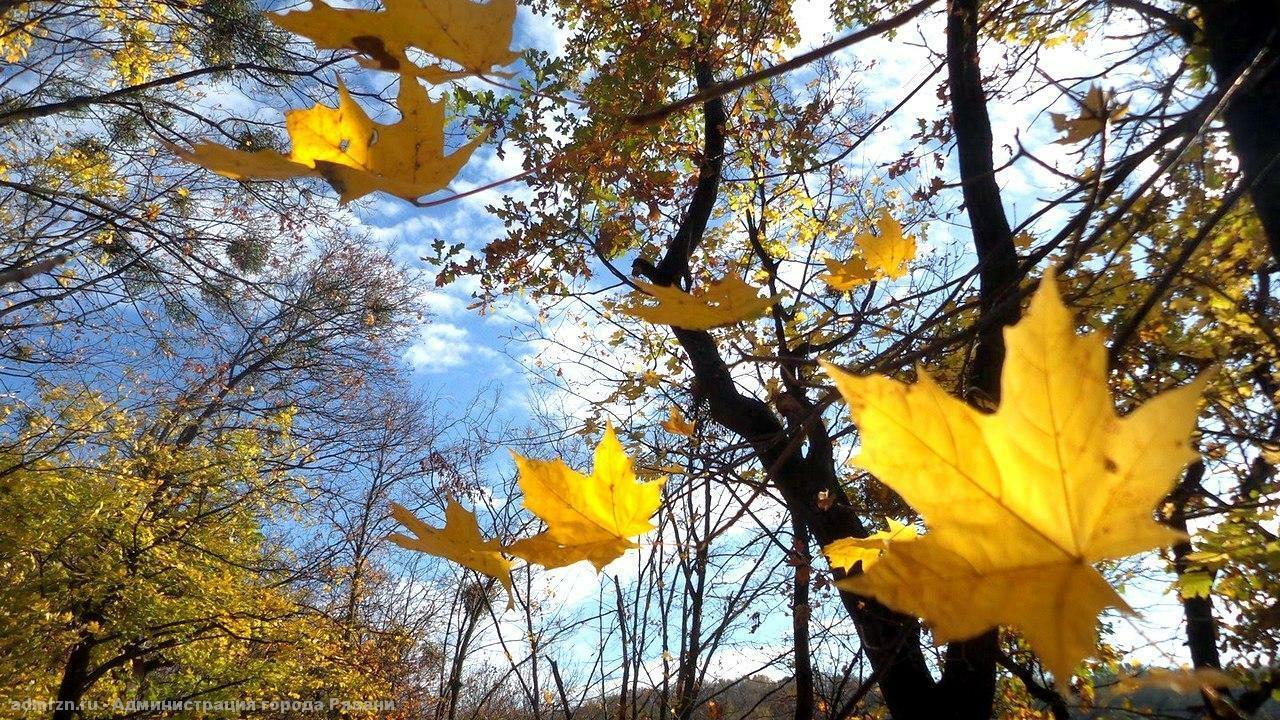 Вижу лето в декоре