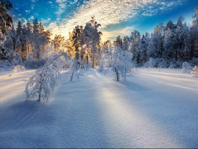 Как жаль, я вышла из зимы