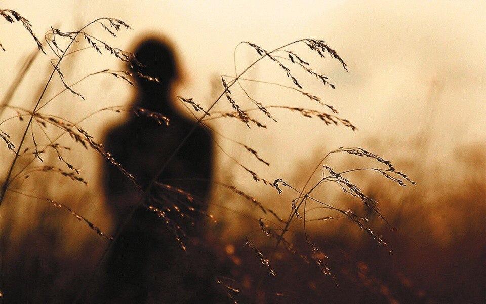 "Где же ты прячешься..." (13.08.2018)