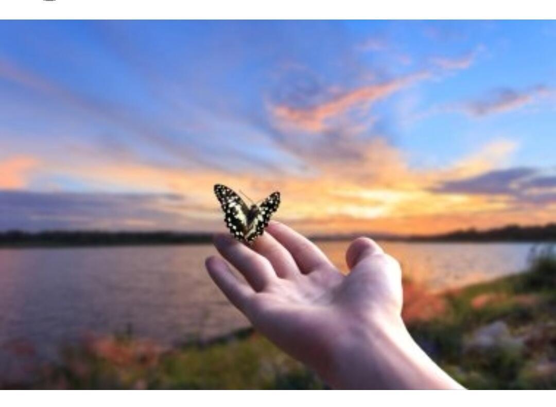 Я тебя отпускаю