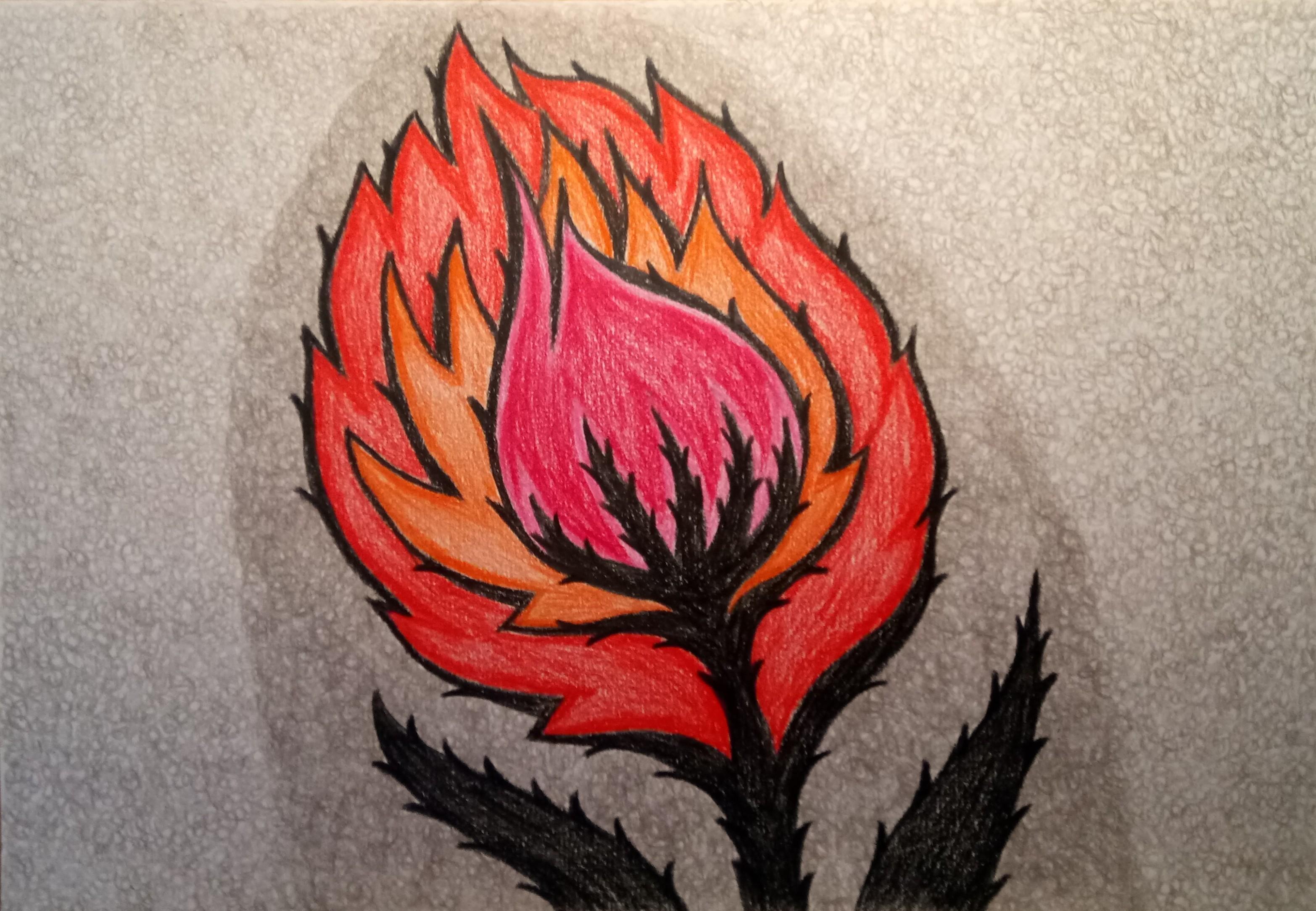 Обиды репейник