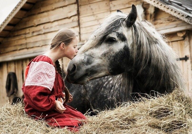 ДРУЖУ С ЛОШАДКОЙ - (для детей)