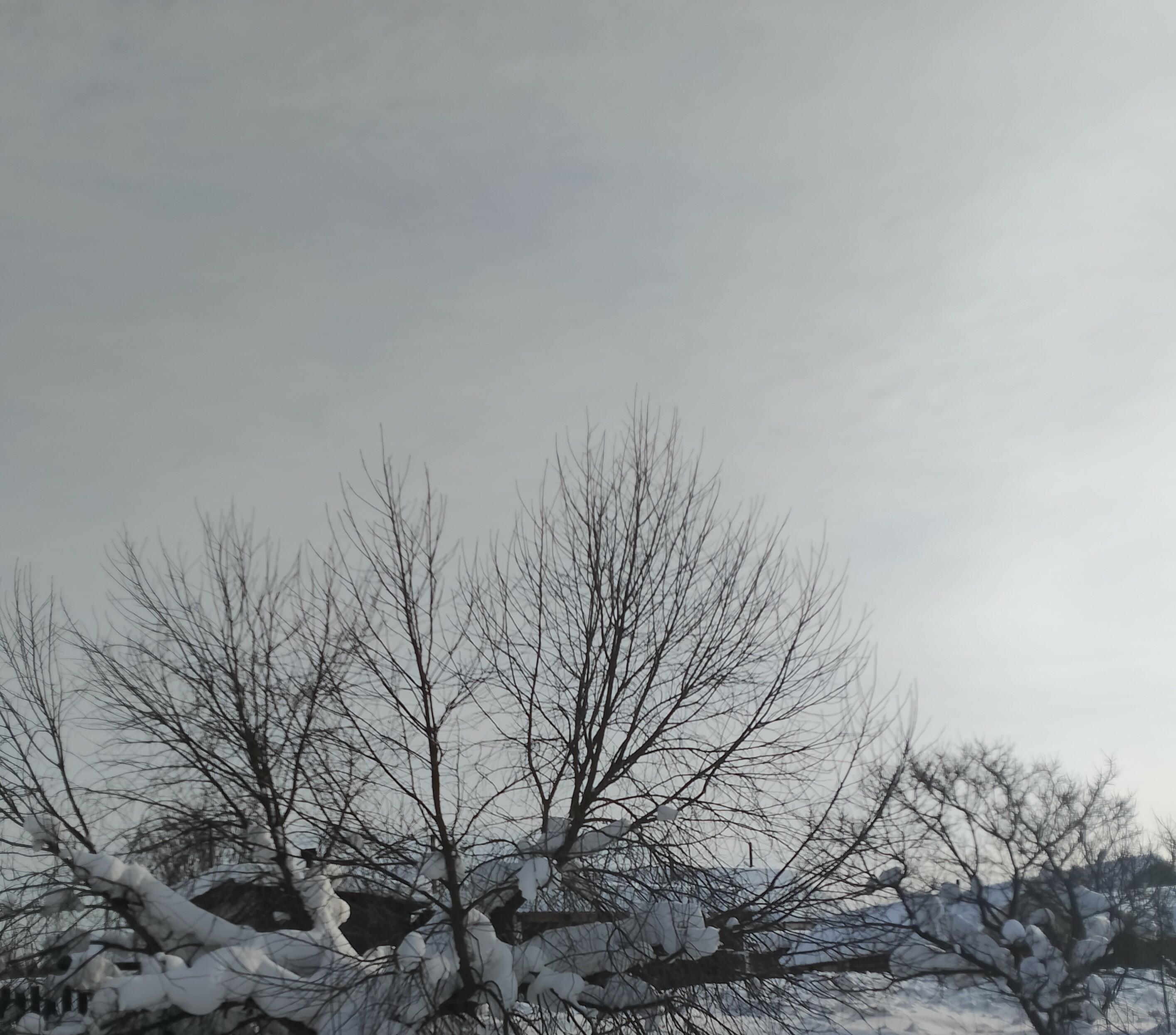 Десяток дней и ты что дым