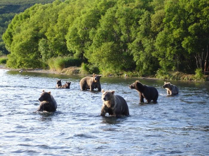 Страна (дружеский шарж,  Владимир Балыкин)