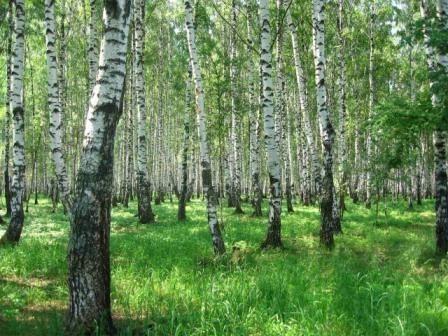 Ты так близка и далека Россия