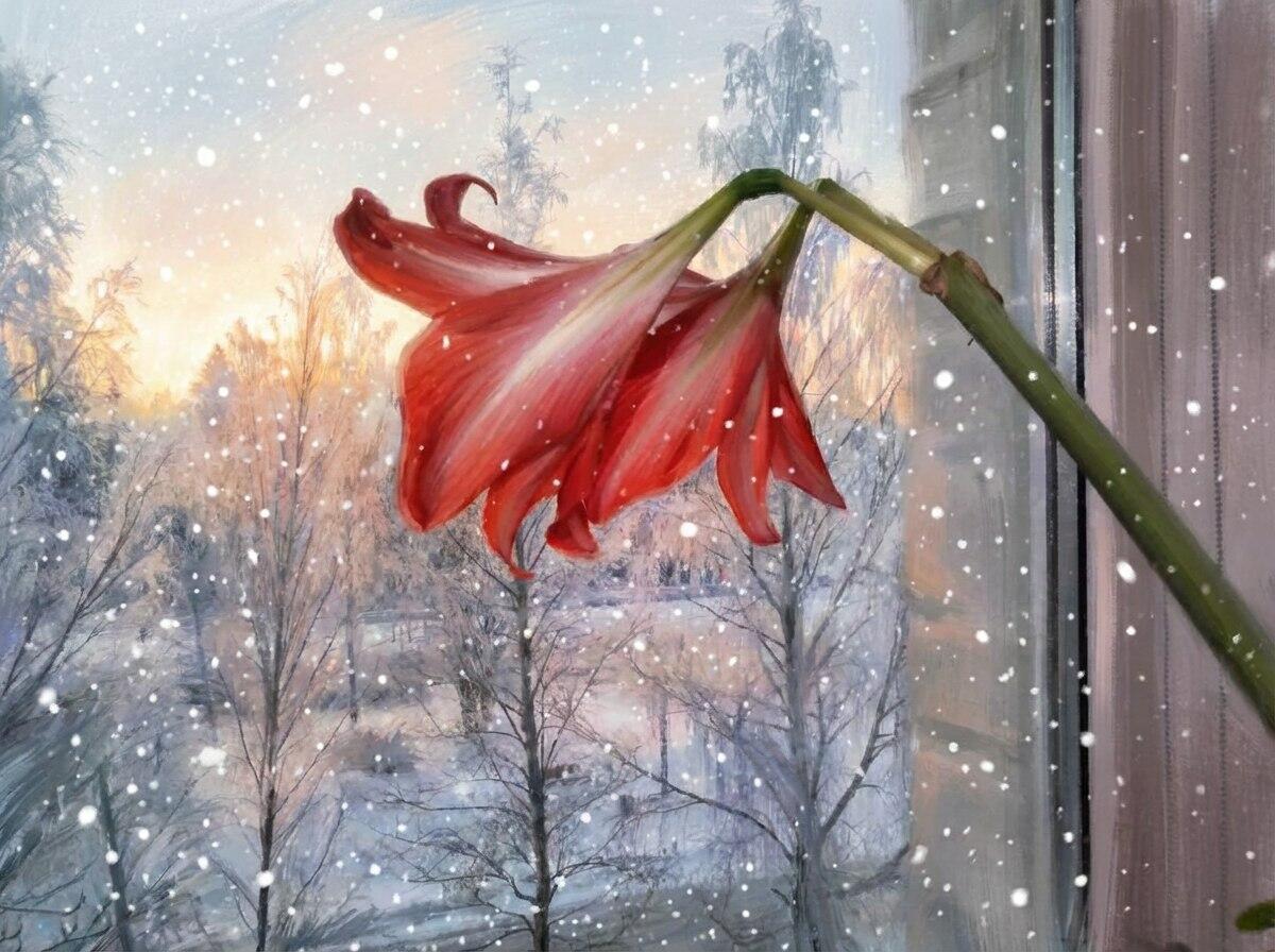 Красный огонёк зимы