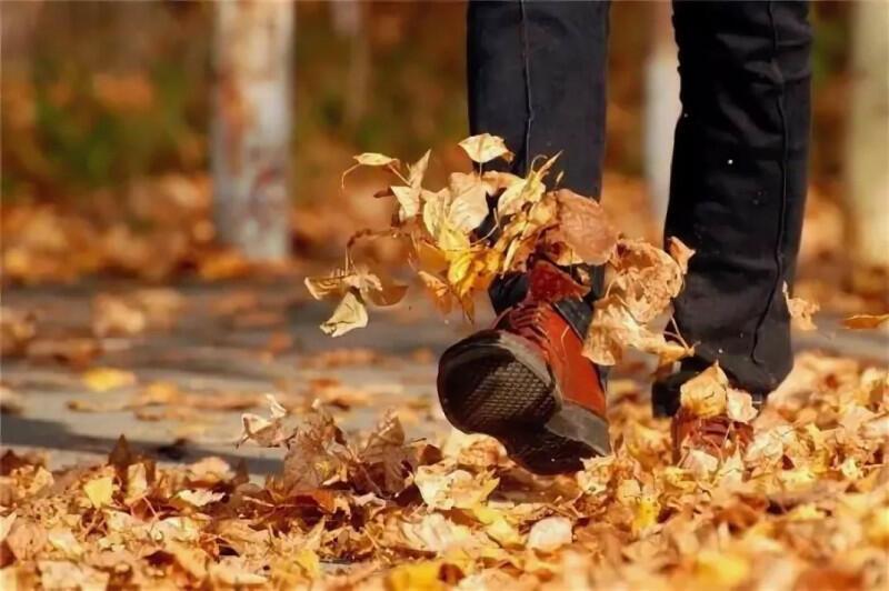 Осенние нелинейности