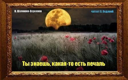 Ты знаешь, какая-то есть печаль...