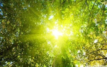 Что? Кто? И как?