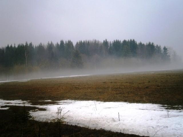 Утренний туман