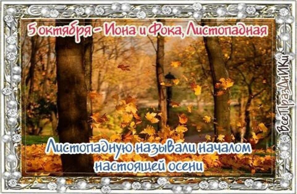 5 ОКТЯБРЯ - День Фоки 