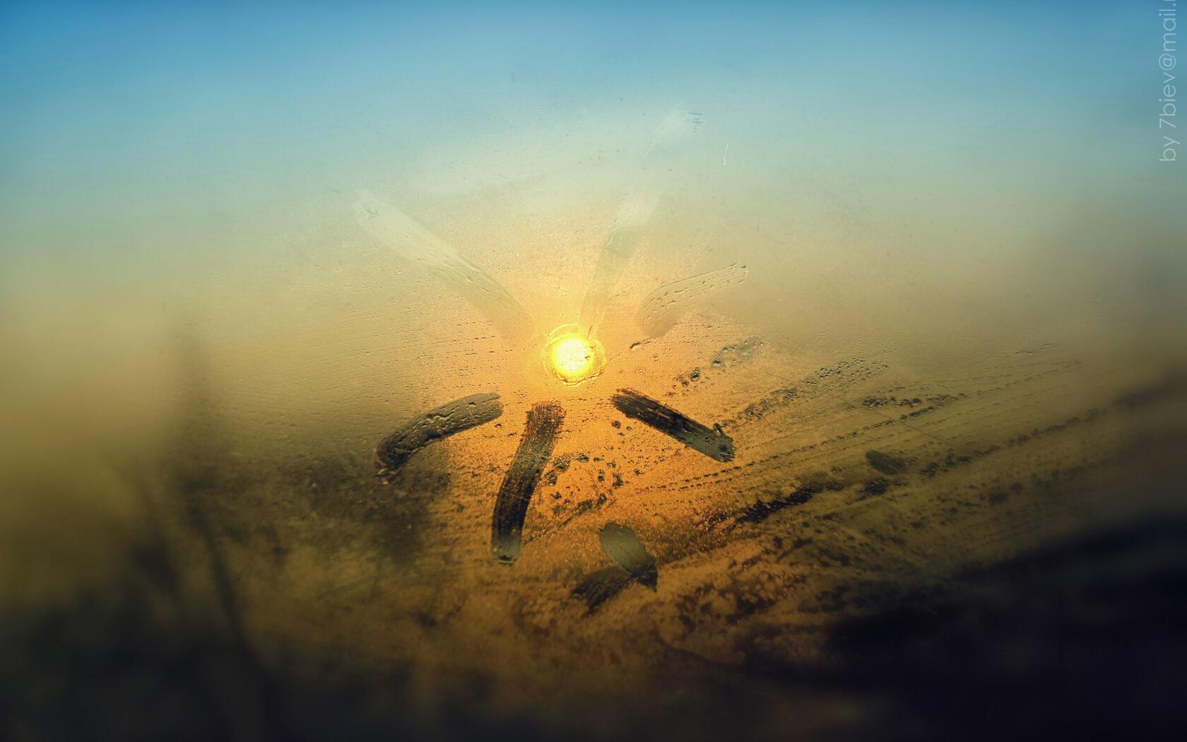 Единицы чистых