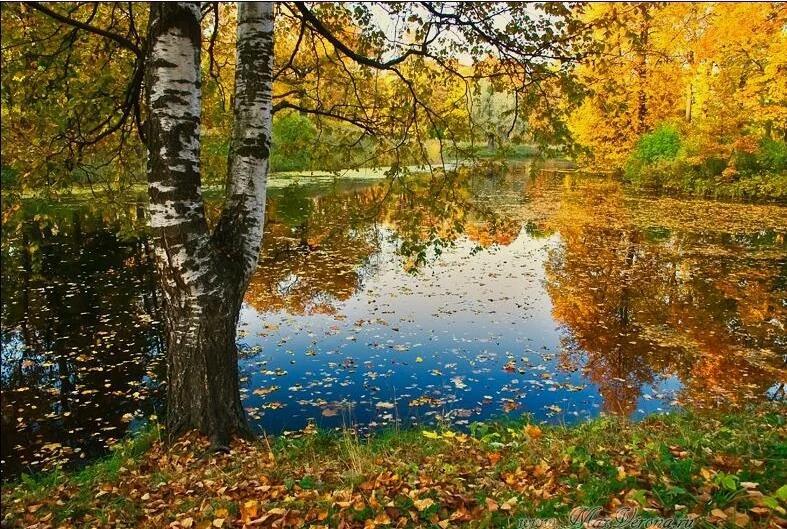 Снова август, за окнами осень