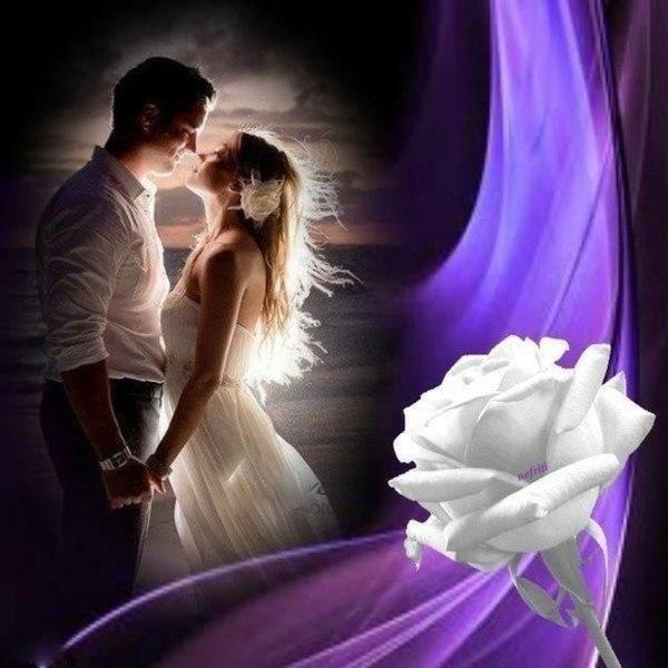 Ответ поэту - Медведь Белый - РАЗВОД