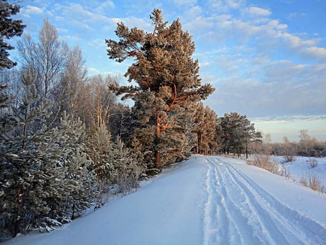 Сальников вячеслав курск