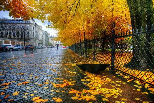 А в Павлодаре снова осень