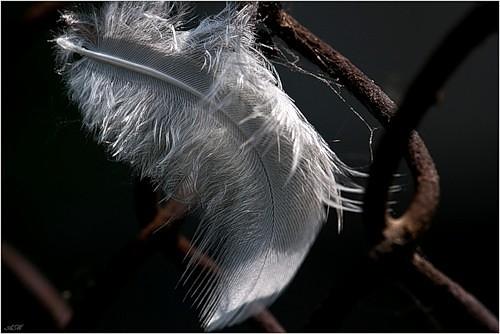 Всё хорошо!