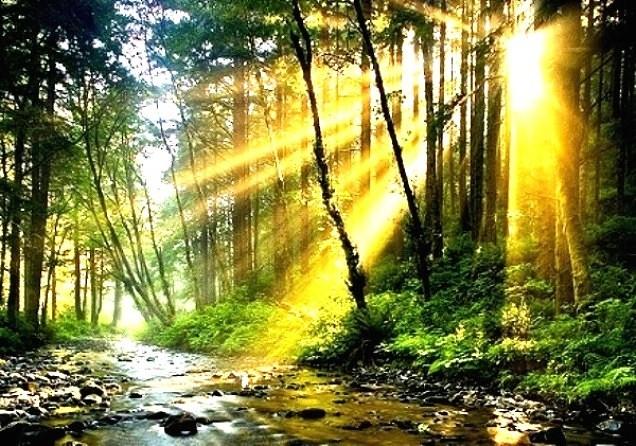 Стезя жизни