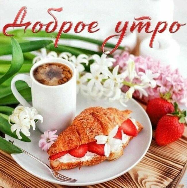 ДОБРОЕ  УТРО!