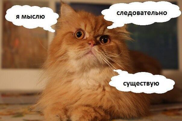 Cogito ergo sum. Я мыслю, следовательно, я есмь