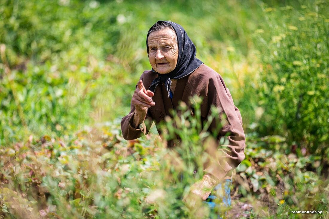 Загадочное болотце