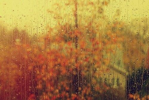 Осенняя жизнь