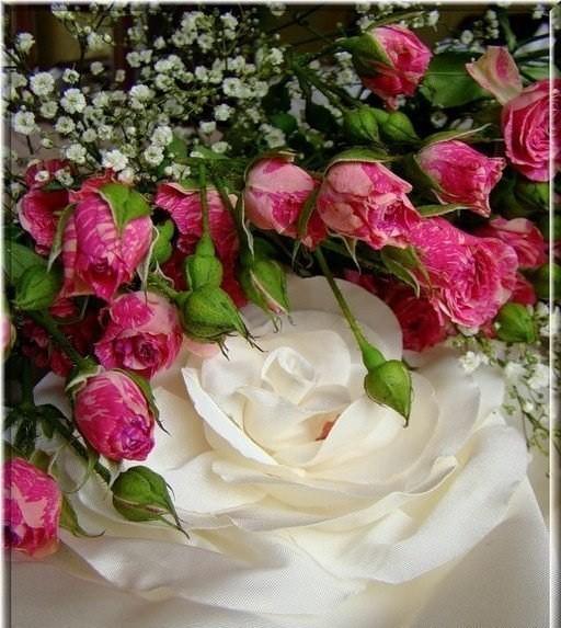 Розы для любимой