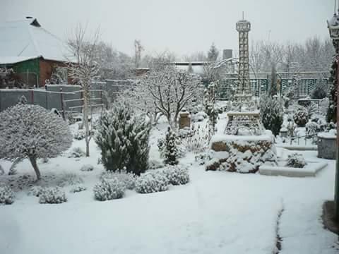 ПЕРВЫЙ СНЕГ