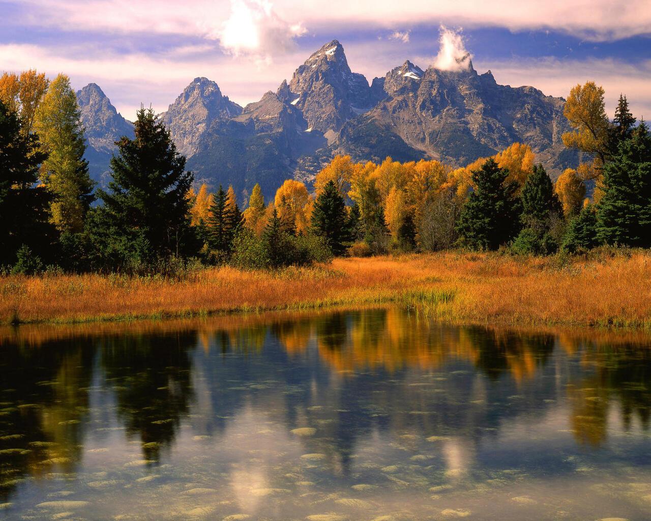 РОДНАЯ ОСЕНЬ