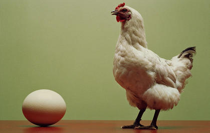 Стихи, не принятые на конкурс "Куриные истории"