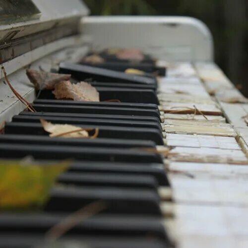 На клавишах застывших...