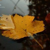 Встретились. И - разошлись...