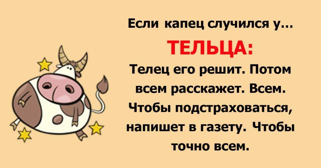 ТЕЛЬЦАМ!