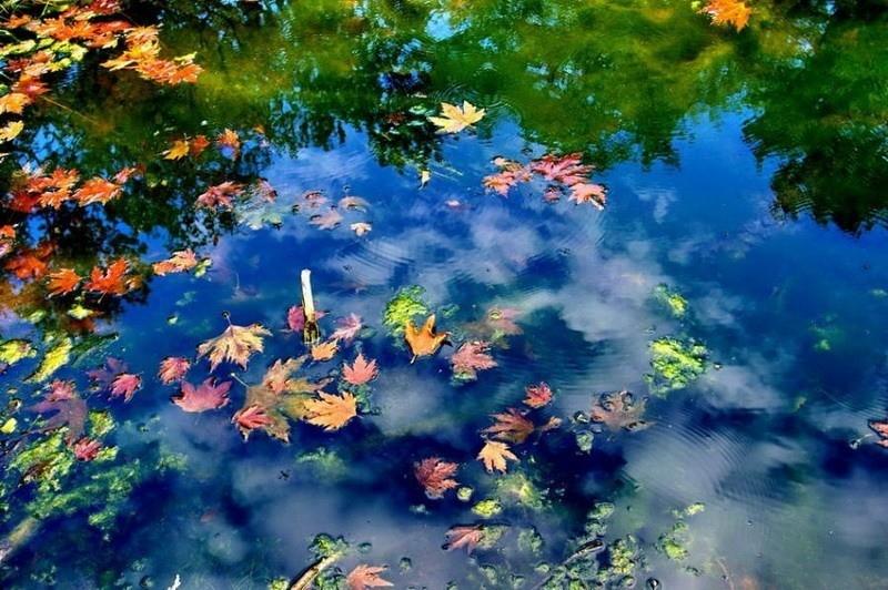 Я слушаю музыку.