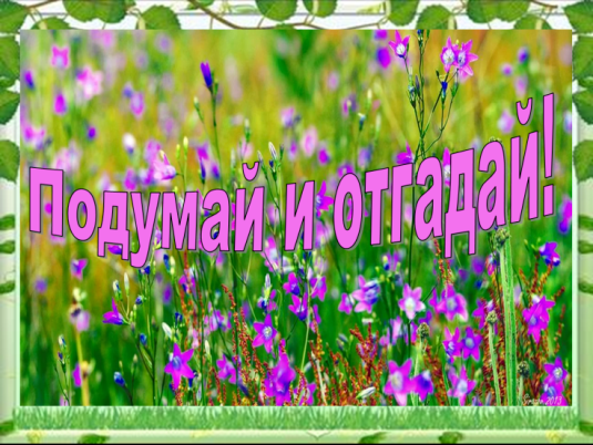 Загадки от Елены. Повышенной сложности