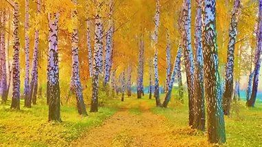 Золотистая листва