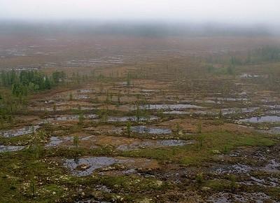 Единственная явь