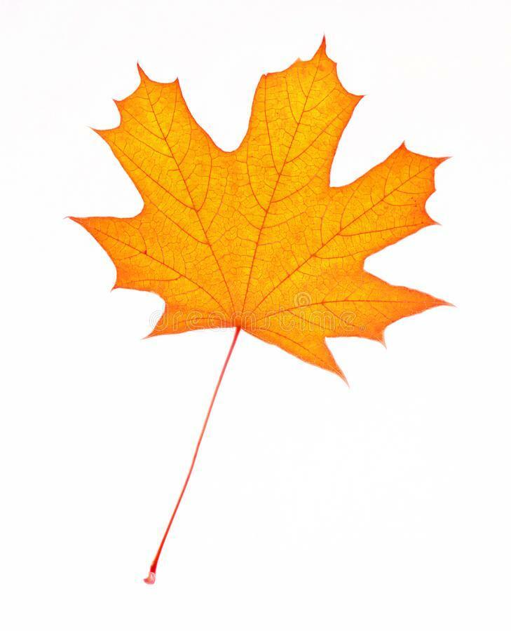 Осени холодное дыханье