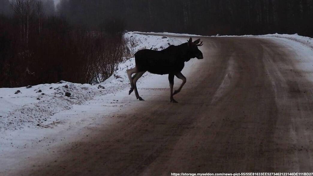 Так случи-ЛОСЬ