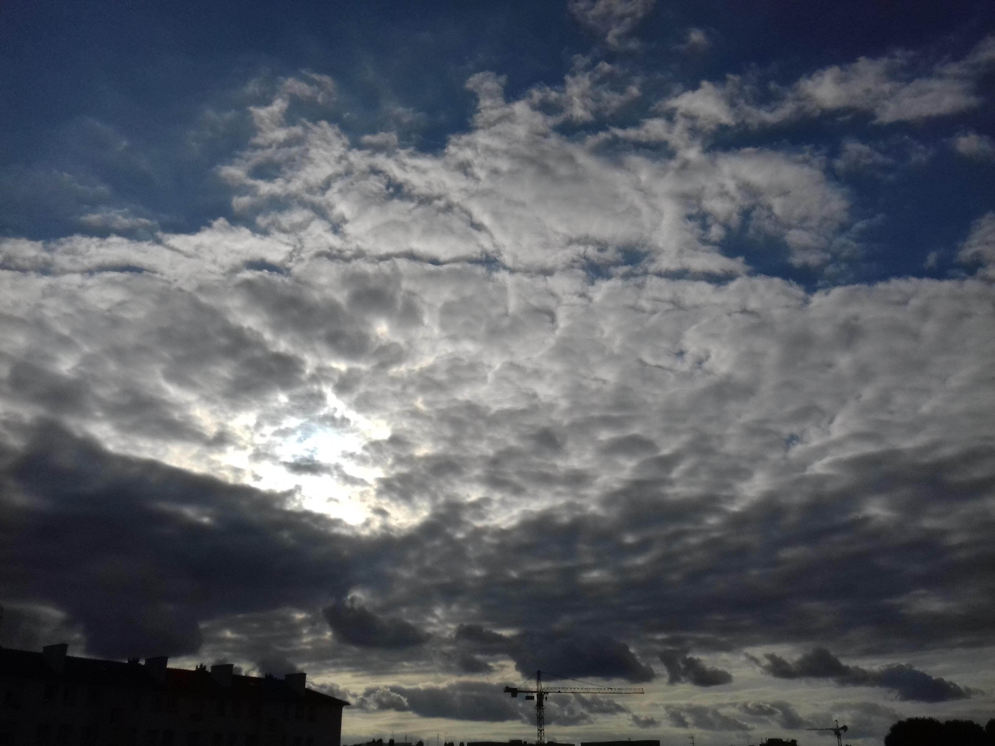 Моему другу (на французском языке)